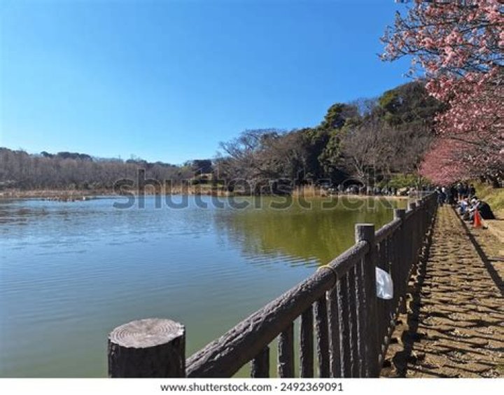 小松ヶ池公園の魅力を現地目線で解説：散策、景色、アクセスも