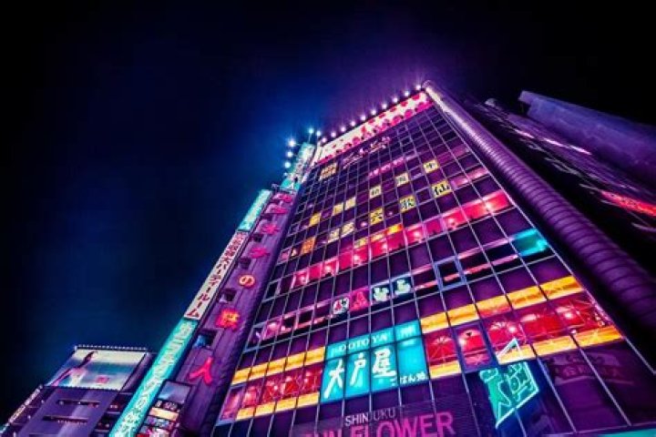 新宿 サン フラワー ビルを徹底ガイド｜所在地・アクセス・周辺の見どころ
